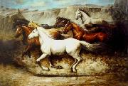 unknow artist Horses 020 Germany oil painting artist